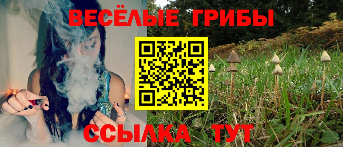 магазин продажи наркотиков  Вход с VPN  Смоленск  Псилоцибиновые грибы Cubensis 